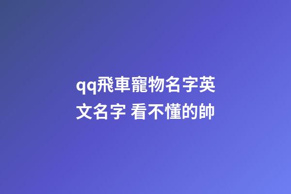 qq飛車寵物名字英文名字 看不懂的帥